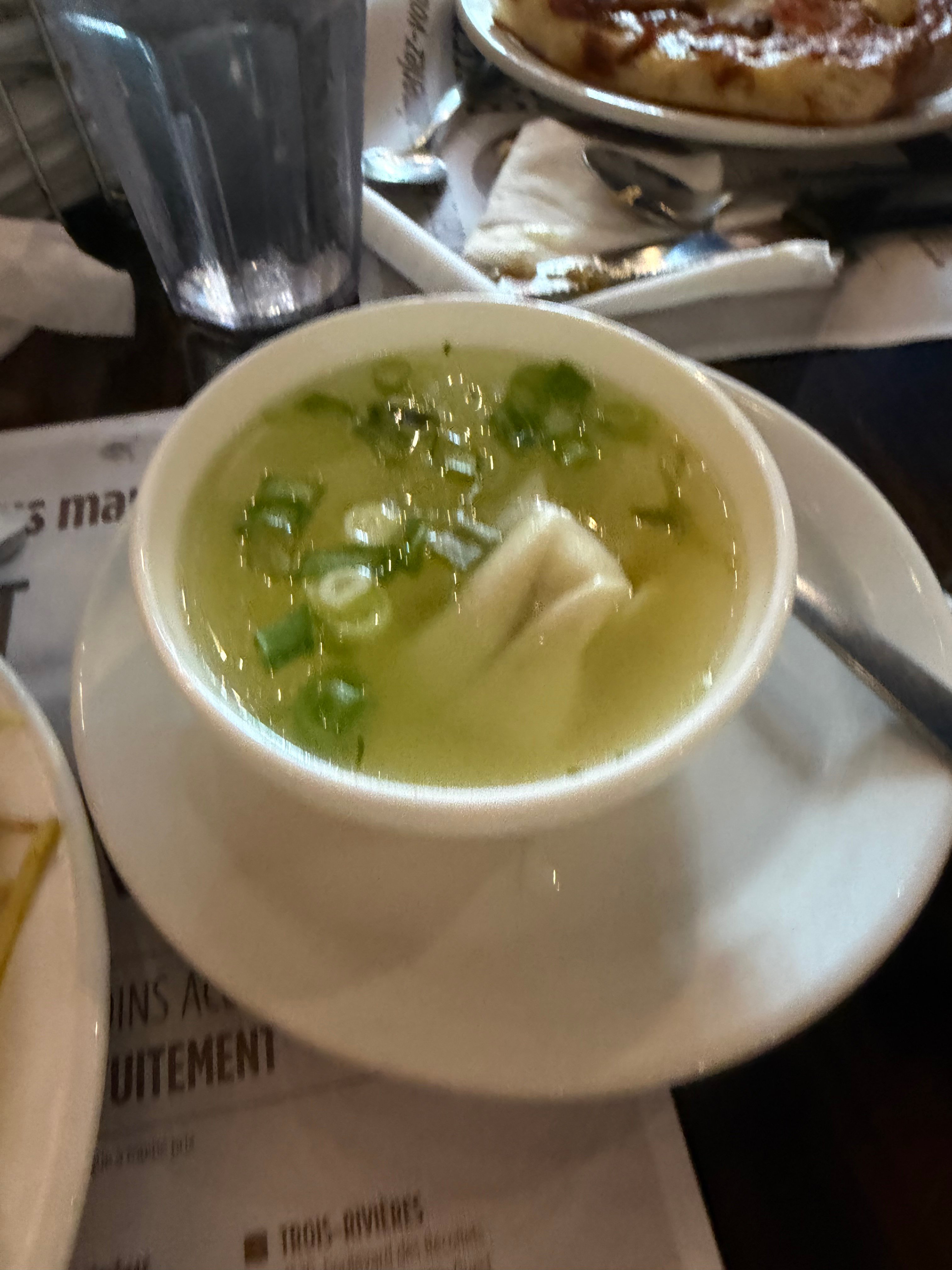 Bowl of wonton soup with green onion garnish